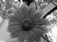 photos 2000-200901719